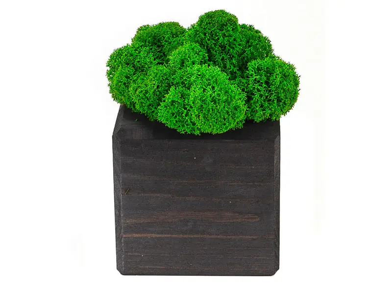 Показать дополнительное фото 1