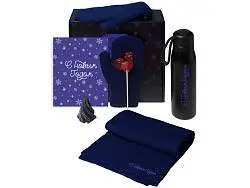 Подарочный набор Re:Air с варежками, шарфом и термосом