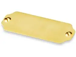 Шильд Самородок