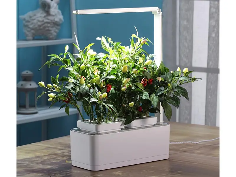 Показать дополнительное фото 2