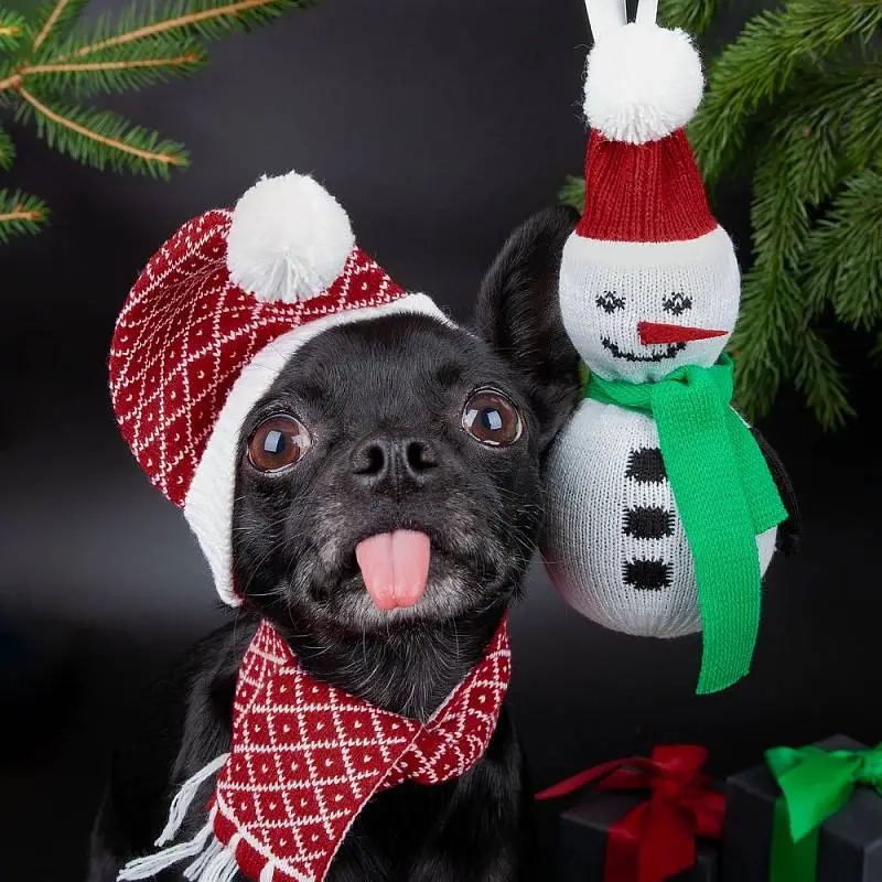 Показать дополнительное фото 5