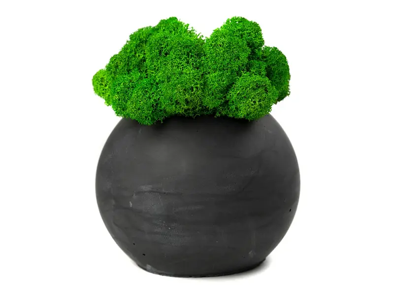 Показать дополнительное фото 1