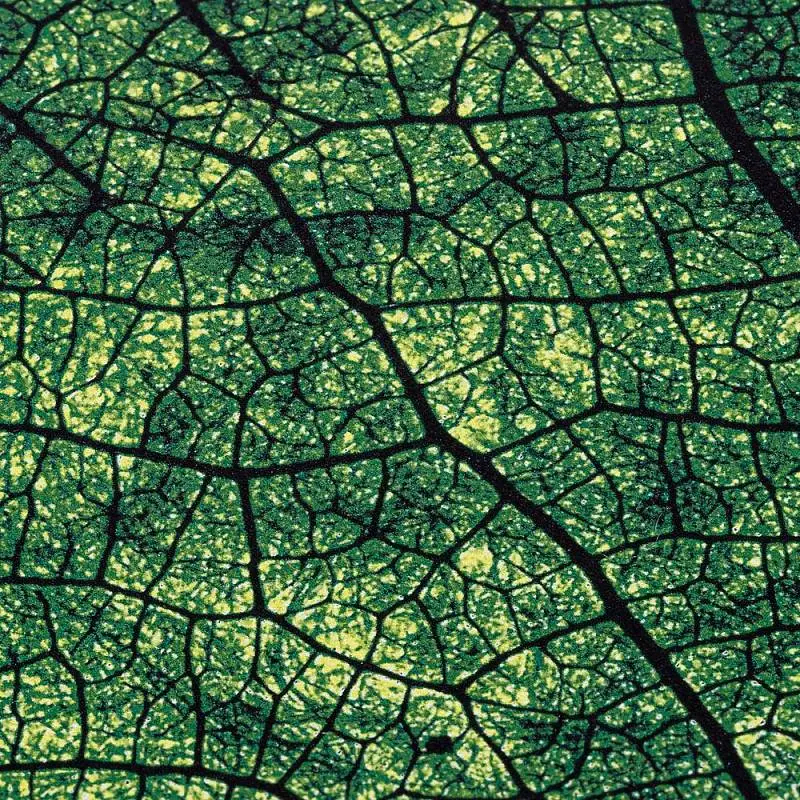 Показать дополнительное фото 4