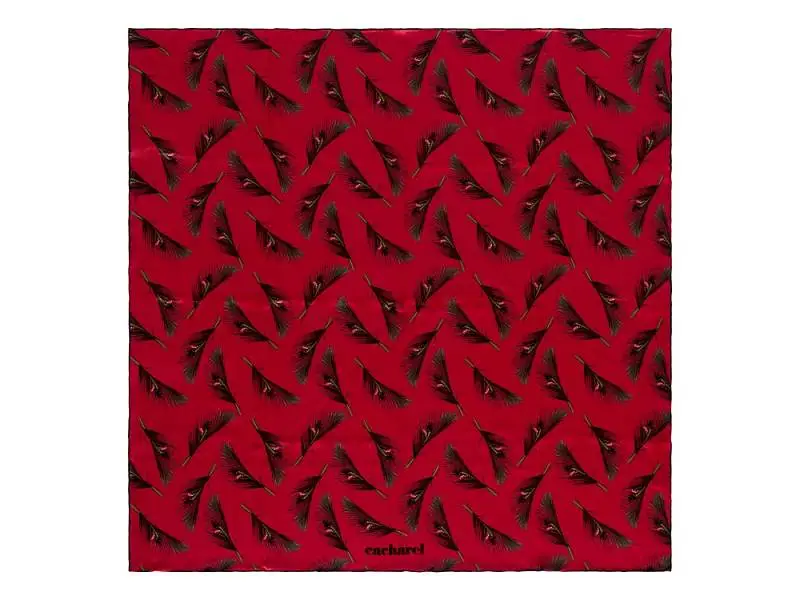 Показать основное фото