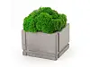 Кашпо бетонное со мхом (квадрат-циркон мох зеленый), QRONA