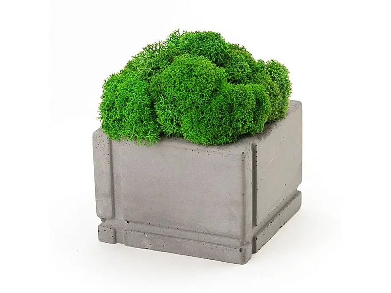 Показать основное фото