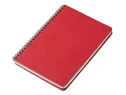 Блокнот А5 Дантэ