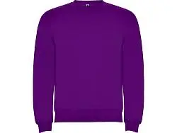 Свитшот с начесом Clasica детский