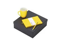 Подарочный набор COLOR IT с блокнотом, ручкой и кружкой