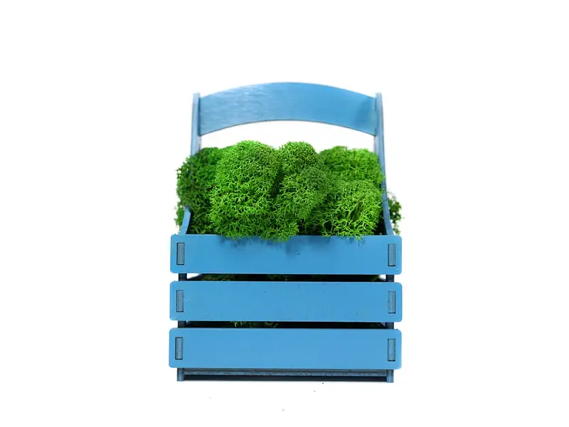 Показать основное фото