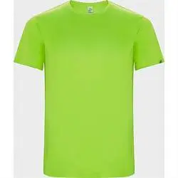 Спортивная футболка IMOLA мужская