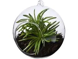 Террариум Sphere