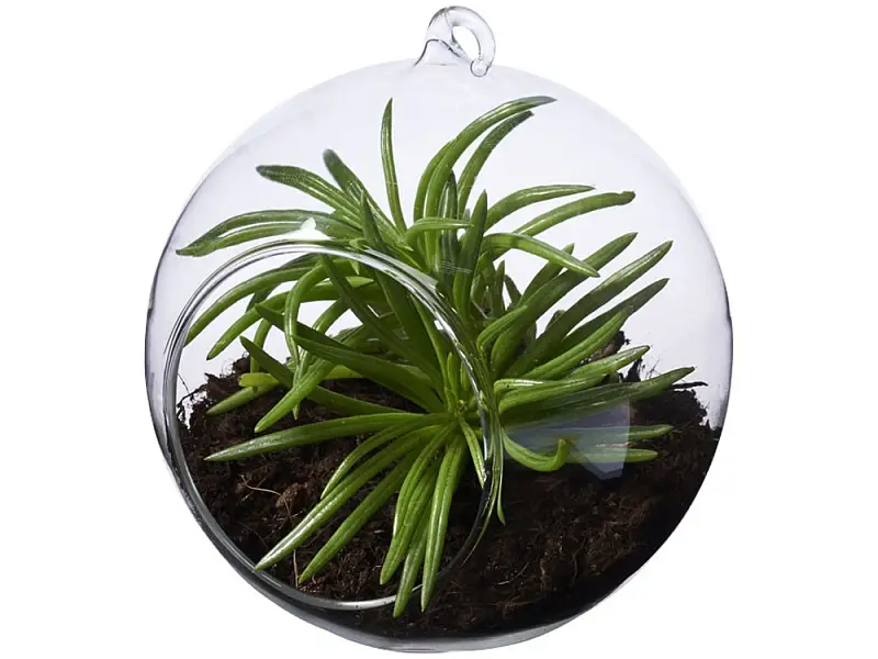 Показать основное фото