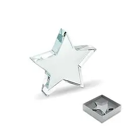 Glass star award