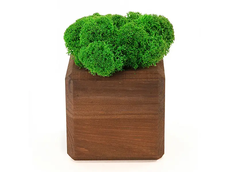 Показать основное фото