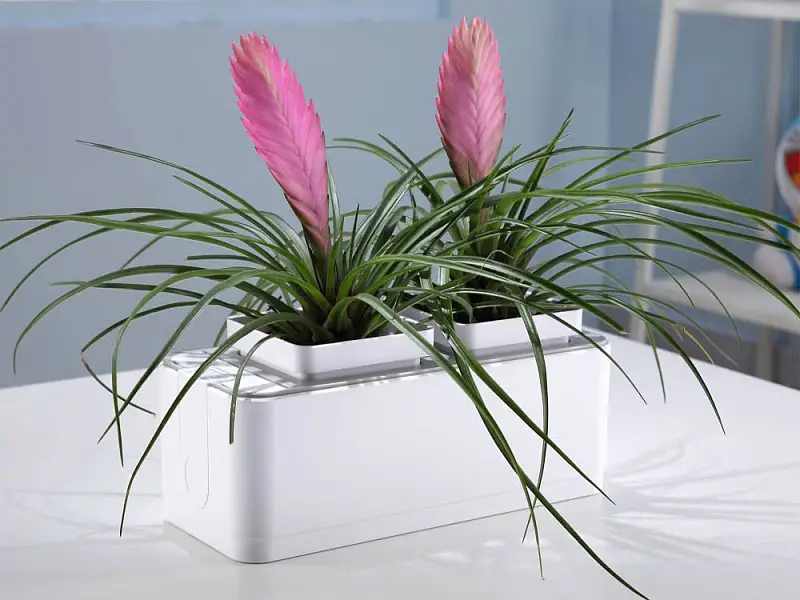 Показать дополнительное фото 5