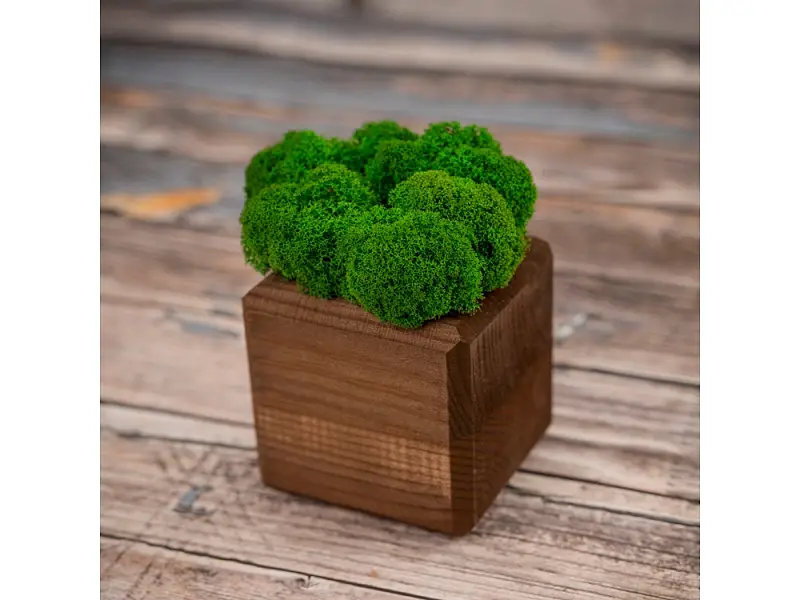 Показать дополнительное фото 2