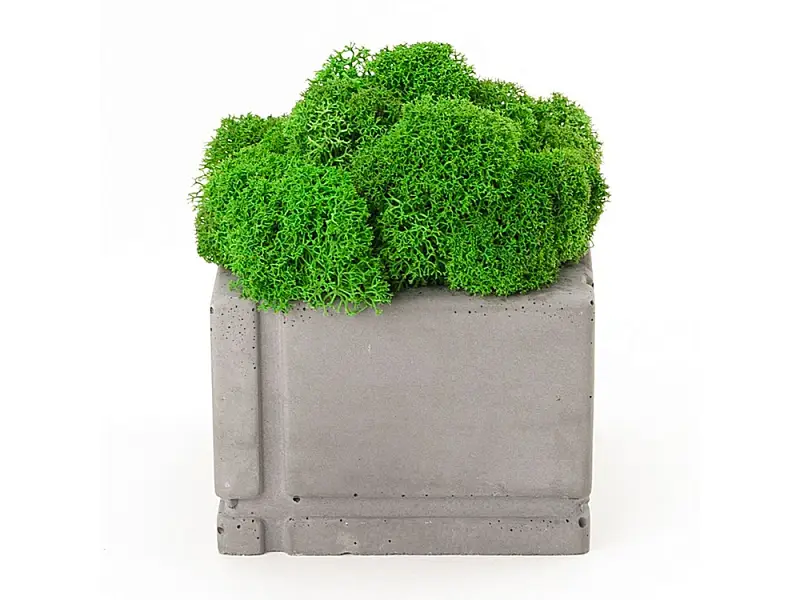 Показать дополнительное фото 1