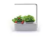 Компактный смарт-сад iGarden LED с подсветкой