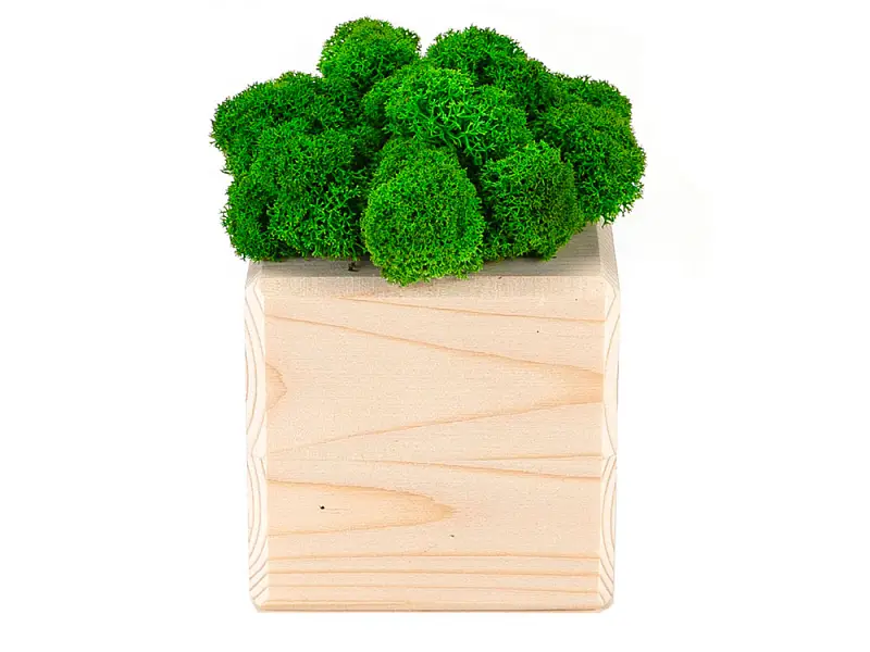 Показать дополнительное фото 1