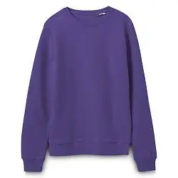 Свитшот унисекс BNC Inspire (Organic), XS–3XL