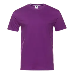 Футболка мужская 02